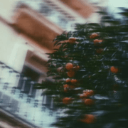 THE GROUP CHE_NOUS WORKS WITH BOOGÁT ON « GROUNDED » 