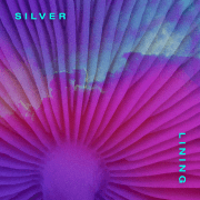 New Bleach dévoile le videoclip de son nouvel extrait « Silver Lining »