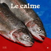 New single from Lucill: Le calme