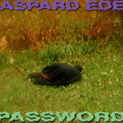 GASPARD EDEN SHARES “PASSWORD”