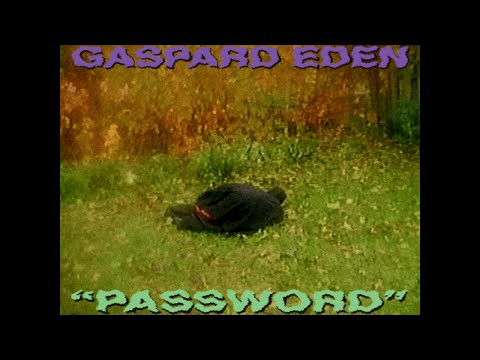 Password